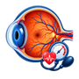 Hypertensive Retinopathy Diagnosis & Treatment